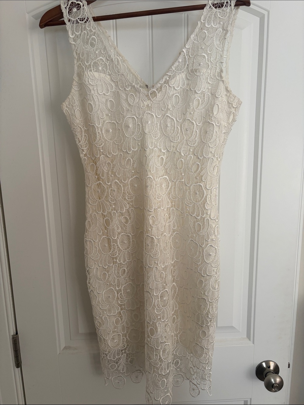 BB Dakota Cream Lace V-Neck Sheath Dress